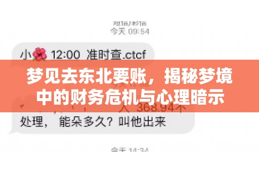 梦见去东北要账,揭秘梦境中的财务危机与心理暗示 梦见去东北要账,揭秘梦境中的财务危机与心理暗示