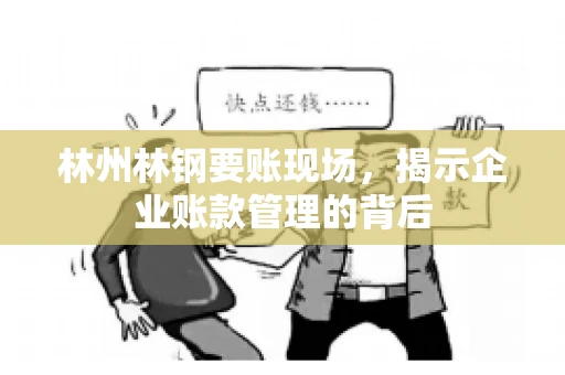 林州林钢要账现场，揭示企业账款管理的背后