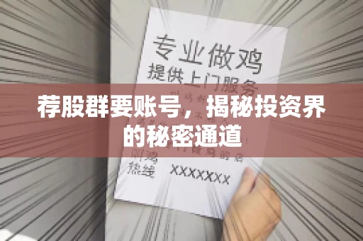 荐股群要账号，揭秘投资界的秘密通道