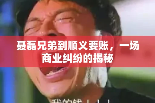 聂磊兄弟到顺义要账，一场商业纠纷的揭秘