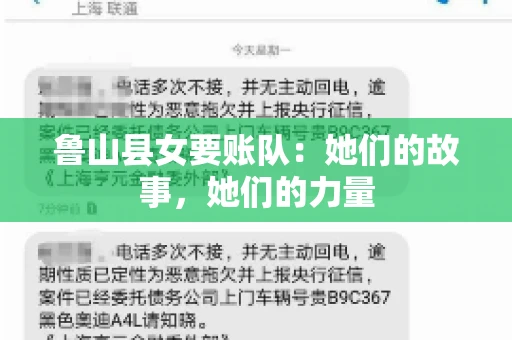 鲁山县女要账队：她们的故事，她们的力量