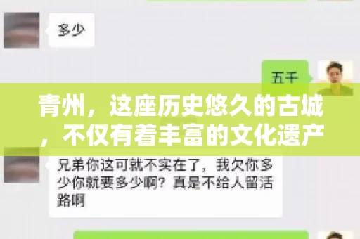 青州，这座历史悠久的古城，不仅有着丰富的文化遗产，还有着繁忙的经济活动。在商业往来中，难免会遇到一些欠款问题，这时候，找一家专业的要账公司就显得尤为重要。那么，青州有帮人要账的吗？答案是肯定的。下面，我就来为大家详细介绍一下青州地区的要账服务。