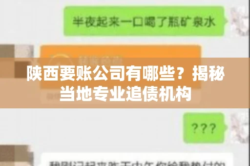 陕西要账公司有哪些？揭秘当地专业追债机构