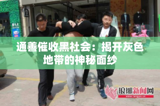 通善催收黑社会：揭开灰色地带的神秘面纱