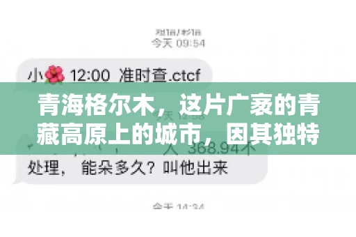 青海格尔木，这片广袤的青藏高原上的城市，因其独特的地理位置和丰富的自然资源而闻名。然而，对于一些借款人来说，这里可能因为逾期还款而接到催收电话。那么，青海格尔木的催收电话是哪家公司的呢？今天，我们就来聊聊这个话题。