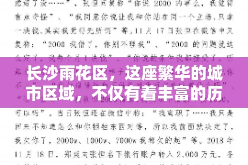 长沙雨花区，这座繁华的城市区域，不仅有着丰富的历史文化，还有着繁忙的金融活动。其中，催收公司作为金融行业的一个重要组成部分，在这里也有着不少的身影。那么，长沙雨花区都有哪些催收公司呢？今天，我们就来聊聊这个话题。